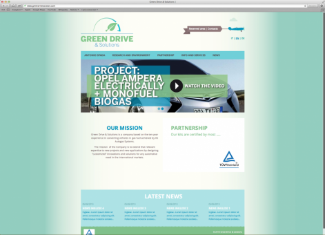 Green Drive Solutions Website - Germany